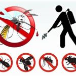 DISINFESTAZIONE-150x150 Servizio di disinfestazione per contrastare la proliferazione di insetti e parassiti