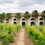 Agriresort-Judeka-4-150x150 Il Cammino di San Giacomo in Sicilia: un viaggio che promuove e valorizza i nostri luoghi